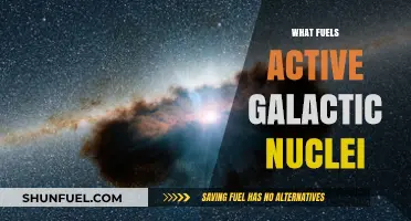 Unveiling the Cosmic Engines: What Powers Active Galactic Nuclei?