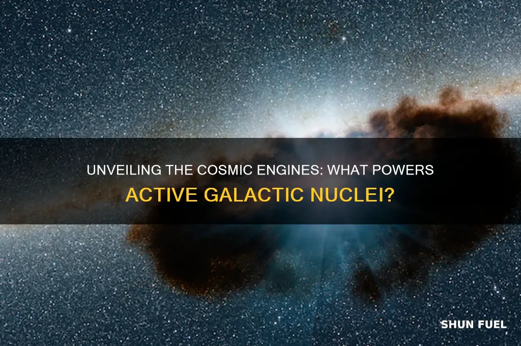 what fuels active galactic nuclei