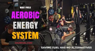 Unlocking Aerobic Power: Key Nutrients Fueling Sustained Energy Systems