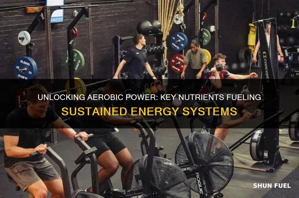 what fuels aerobic energy system