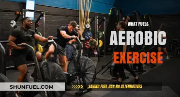Unleashing Energy: The Science Behind What Fuels Aerobic Exercise