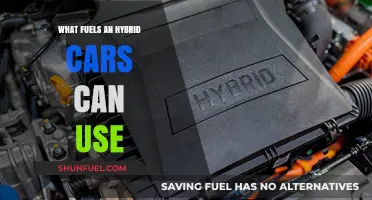 Exploring Hybrid Car Fuel Options: Gasoline, Electricity, and Beyond