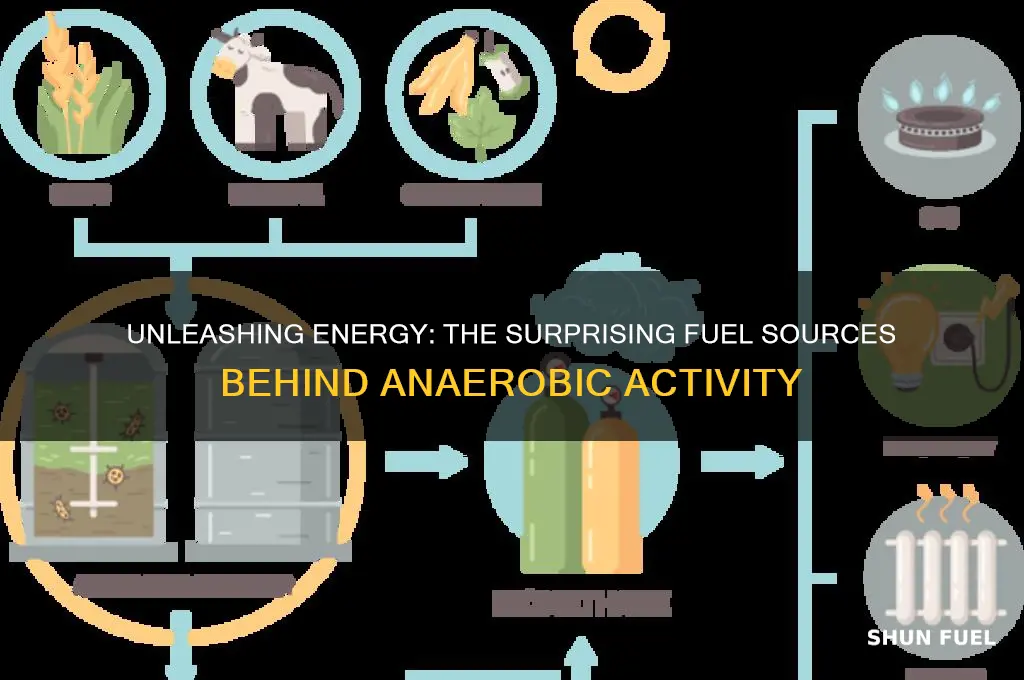 what fuels anaerobic activity