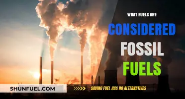 Fossil Fuels: What Are They and How Are They Formed?