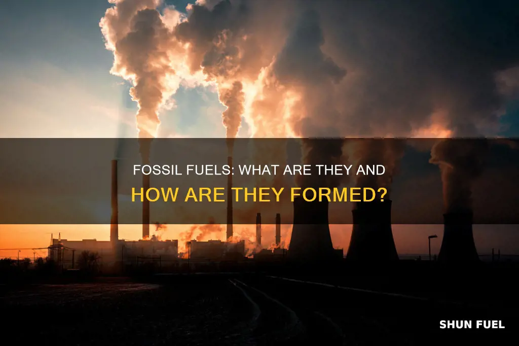 what fuels are considered fossil fuels