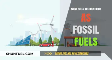 Understanding Fossil Fuels: Coal, Oil, and Natural Gas Explained