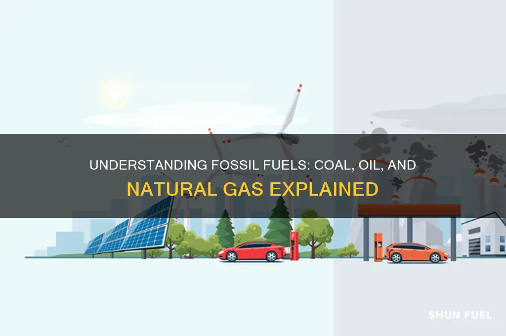 what fuels are identified as fossil fuels