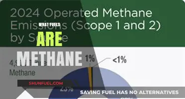 Methane's Origins: Exploring the Diverse Sources of This Powerful Fuel