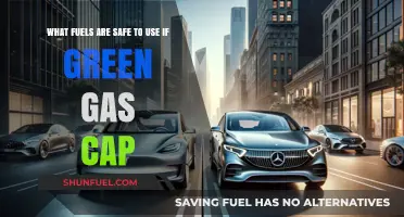 Eco-Friendly Fuel Options for Green Gas Cap Compliance