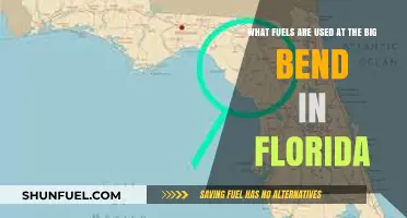 Exploring Big Bend Power: Fuel Sources Driving Florida's Energy Hub