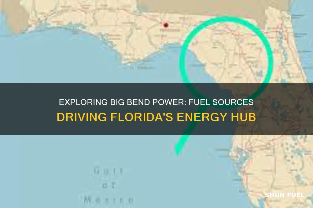 what fuels are used at the big bend in florida