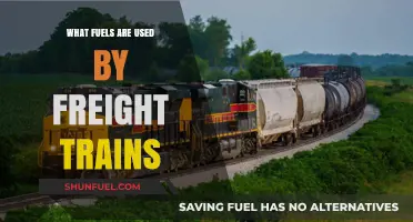 Exploring the Diverse Fuels Powering Freight Trains Globally