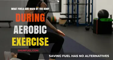Aerobic Exercise Fuel Sources: Understanding the Body's Energy Systems