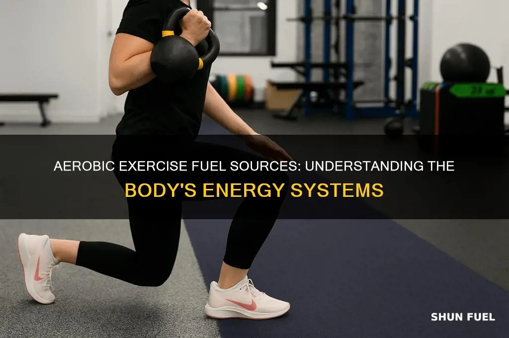 what fuels are used by the body during aerobic exercise