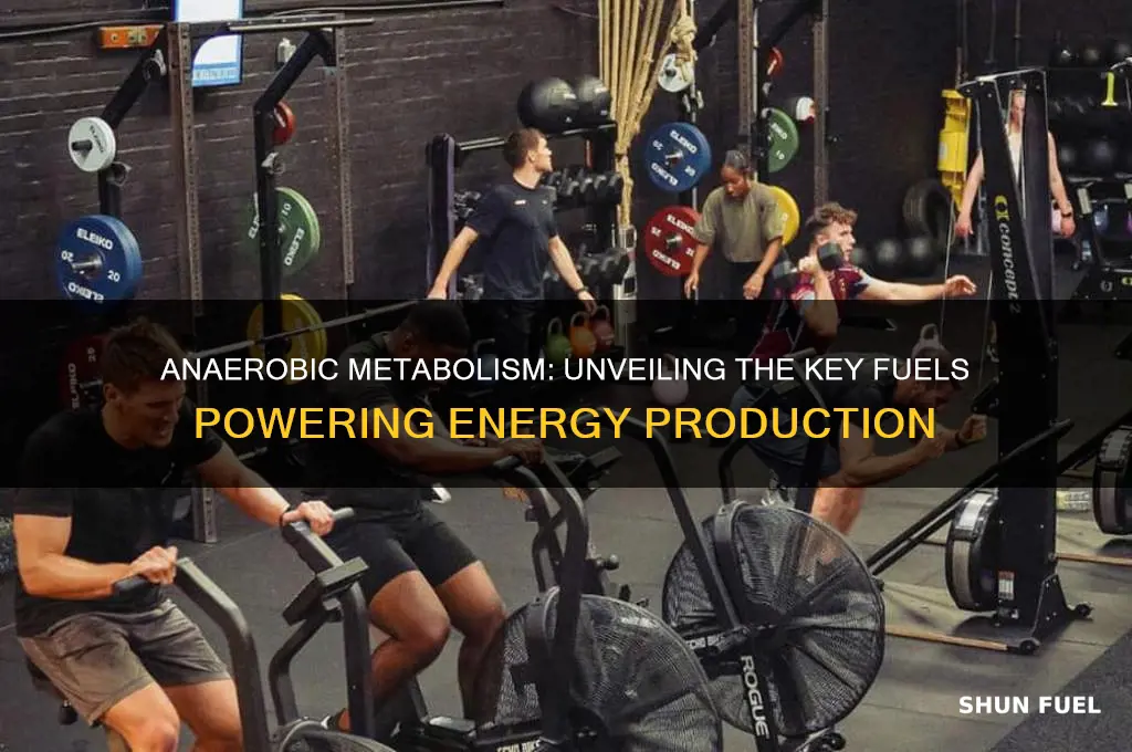 what fuels are used in anaerobic metabolism