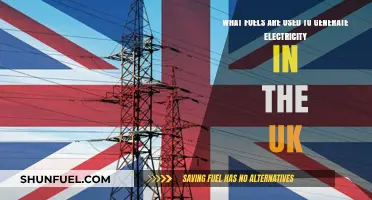 UK's Power Sources: Exploring Fuels for Electricity Generation