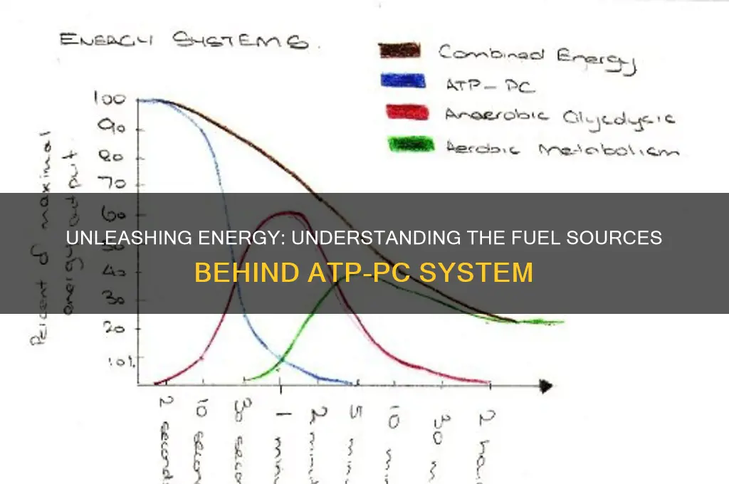 what fuels atp pc