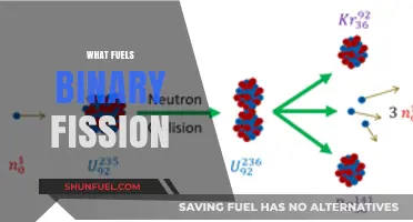 Unraveling the Energy Sources Driving Binary Fission in Microorganisms