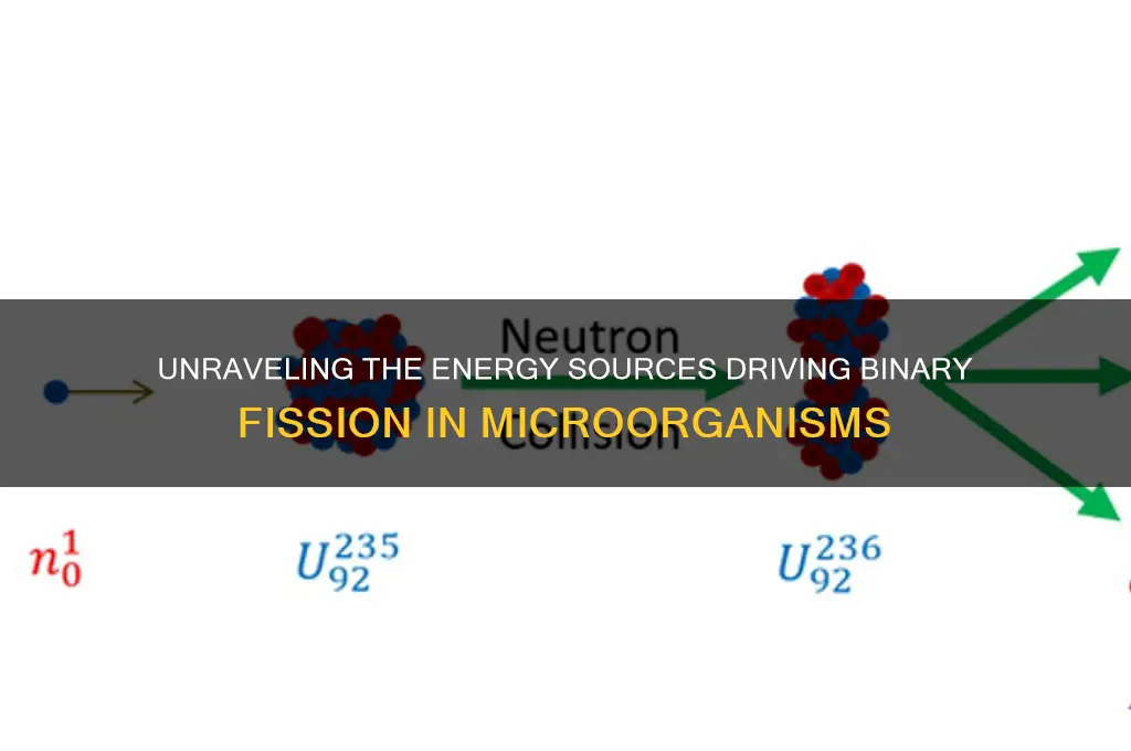 what fuels binary fission