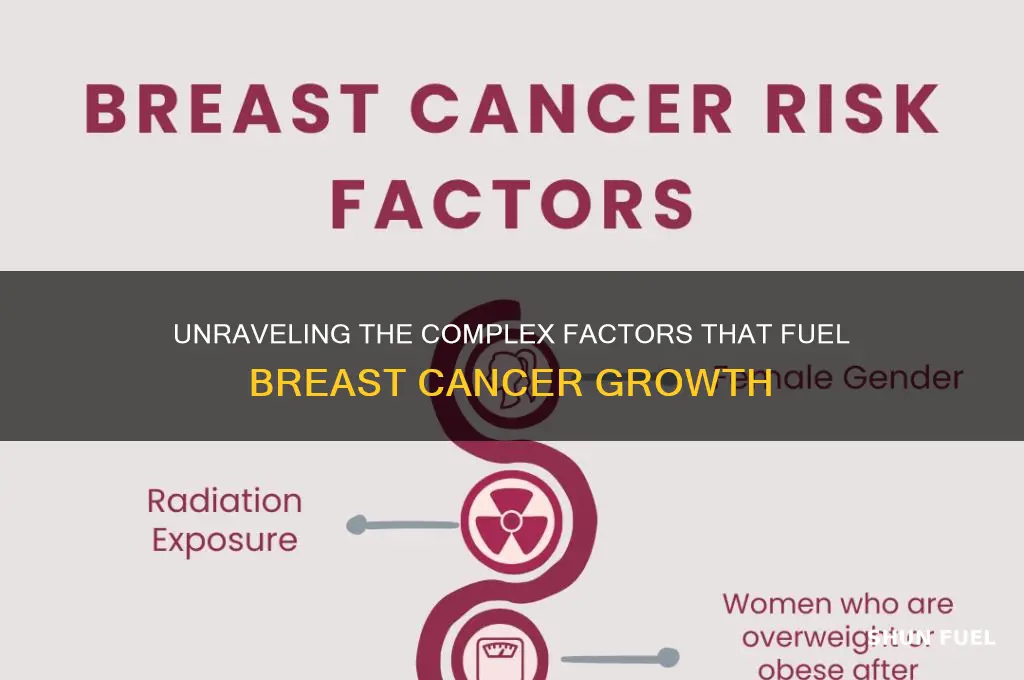 what fuels breast cancer