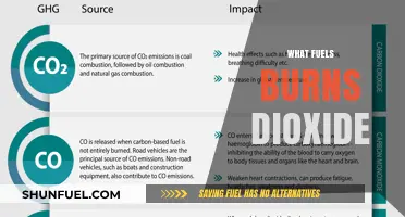 Understanding the Combustion Process: What Fuels Burn to Produce Carbon Dioxide