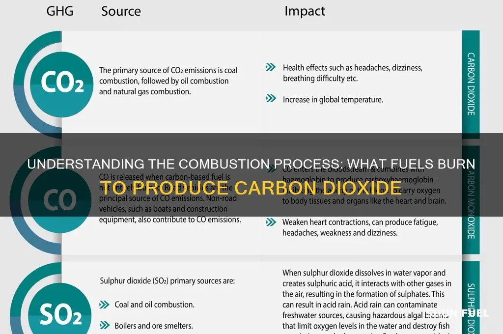 what fuels burns dioxide