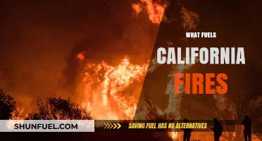 Unraveling the Devastating Factors Behind California's Fierce Wildfires