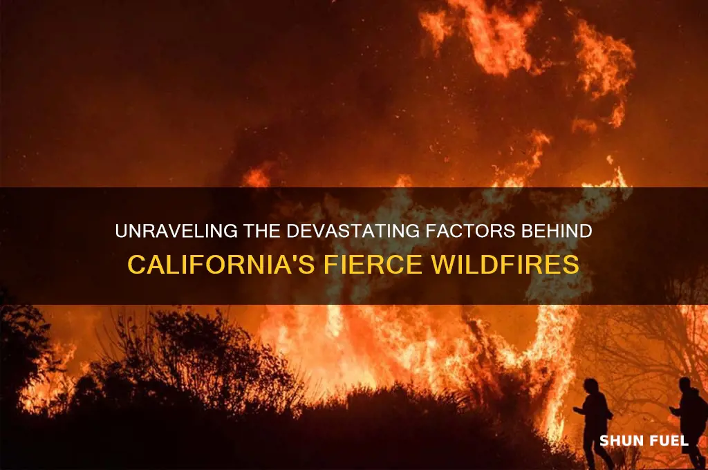 what fuels california fires