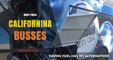 California's Bus Power: Exploring the Fuel Sources Behind Public Transit