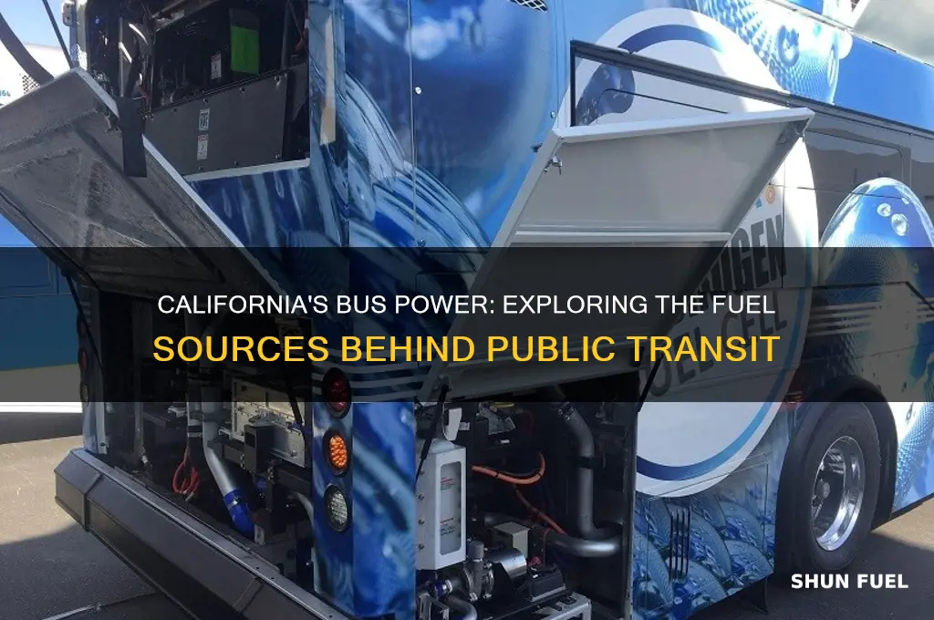 what fuels californina busses