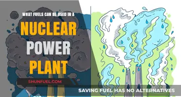 Exploring Nuclear Power Plant Fuels: Uranium, Plutonium, and Beyond