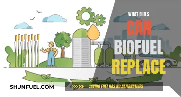 Biofuels: Replacing Fossil Fuels with Sustainable Energy Sources