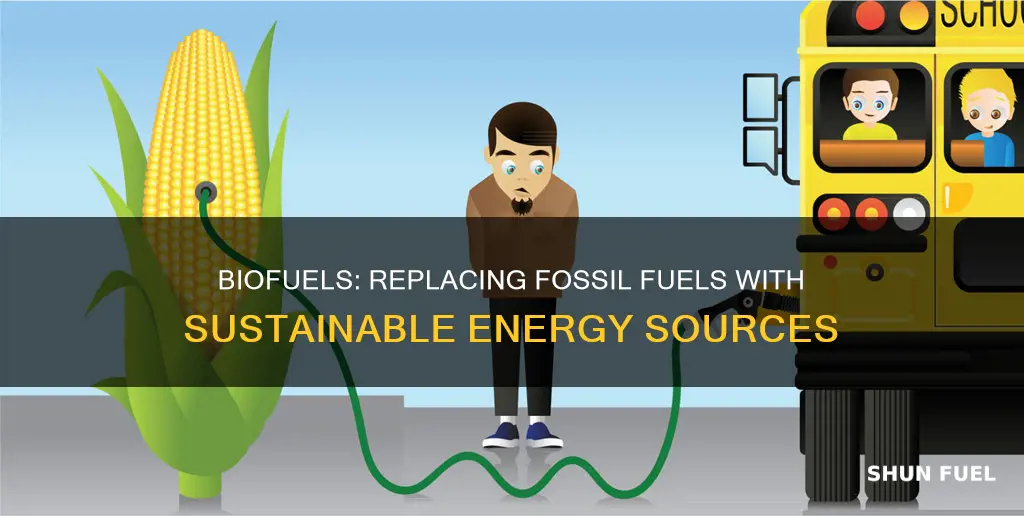 what fuels can biofuel replace