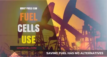 Exploring Diverse Fuels for Efficient Fuel Cell Power Generation