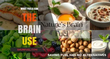 Brain Fuel: Unlocking the Energy Sources That Power Your Mind