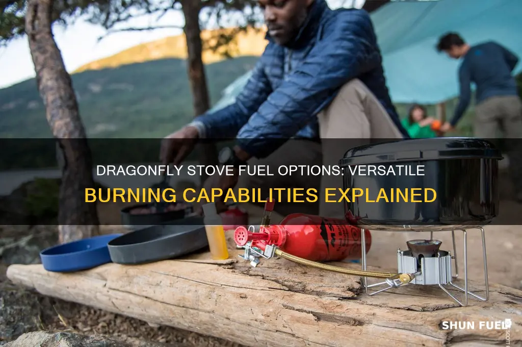 what fuels can the dragonfly stove burn
