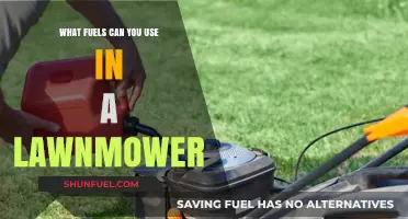 Best Fuel Options for Efficient and Reliable Lawn Mower Performance