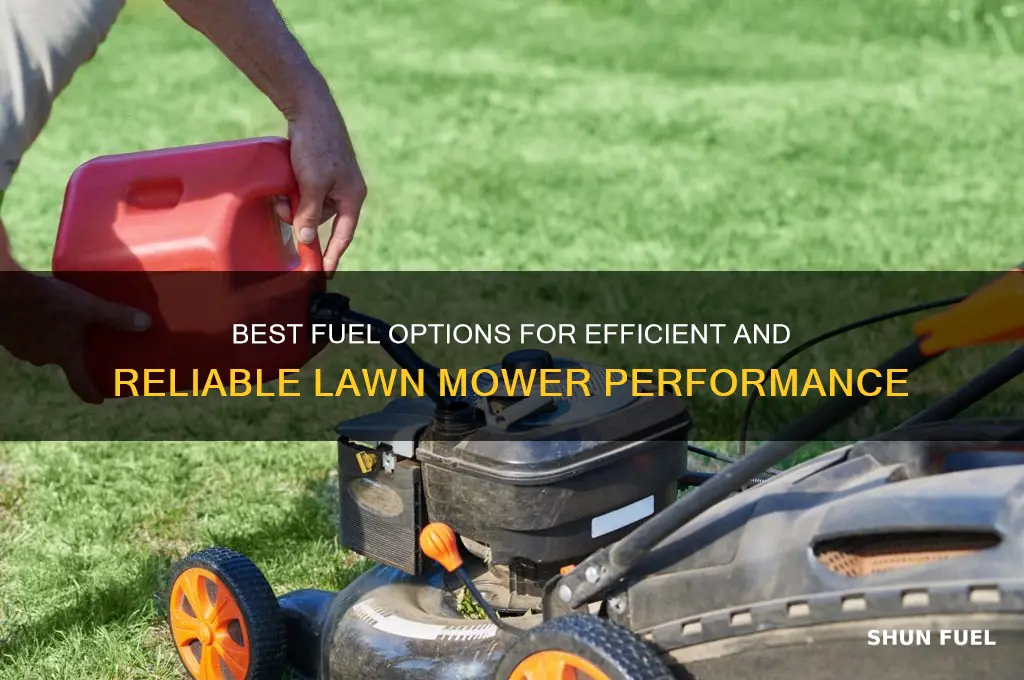 what fuels can you use in a lawnmower