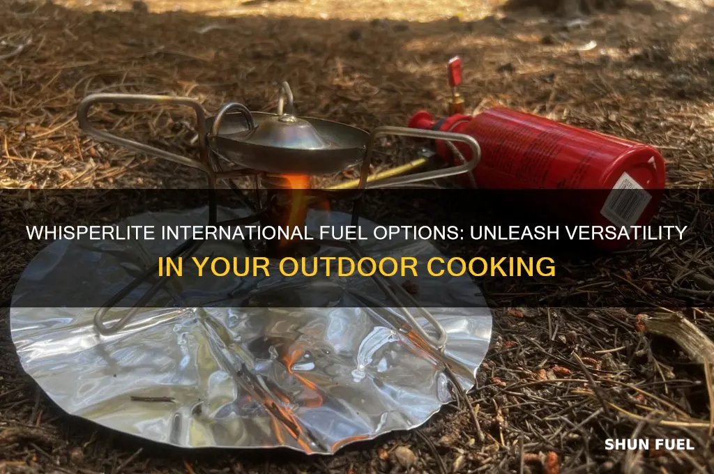 what fuels can you use in a whisperlite international
