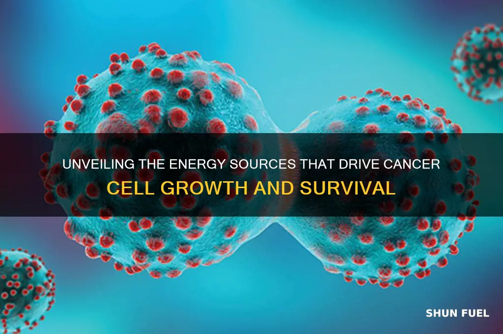 what fuels cancer cells