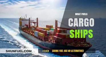 Powering Global Trade: Exploring the Fuels That Drive Cargo Ships
