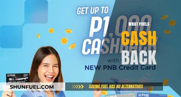 Unveiling the Mechanics Behind Cash Back Rewards and Incentives