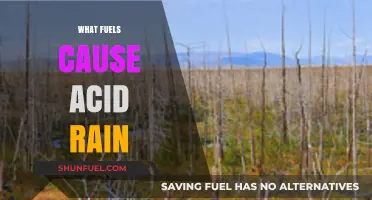 Unveiling the Culprits: Which Fuels Trigger Acid Rain Formation?