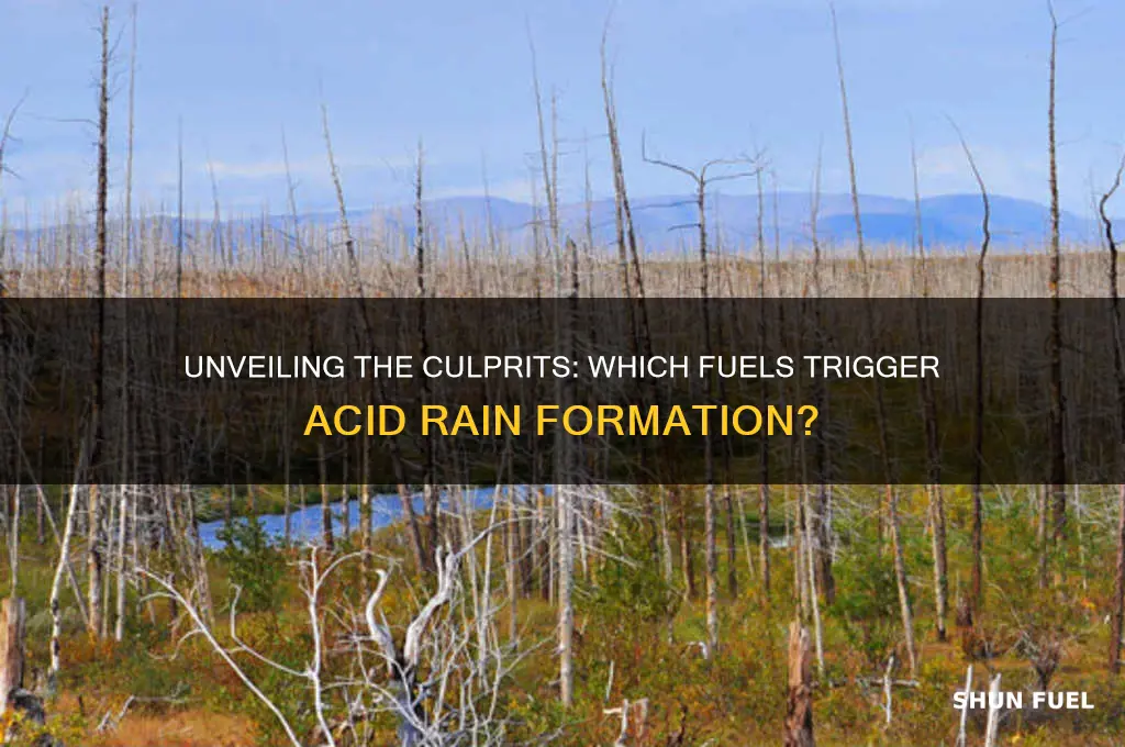 what fuels cause acid rain