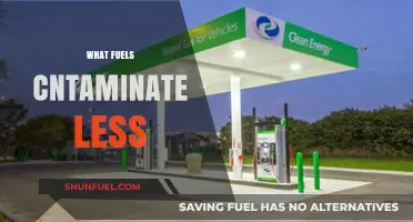 Cleaner Energy Choices: Which Fuels Minimize Environmental Contamination?