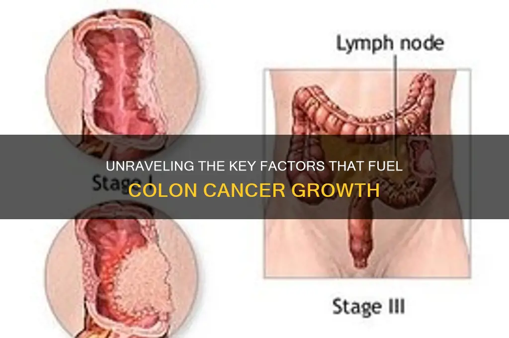 what fuels colon cancer