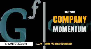 Driving Growth: Key Factors That Fuel Company Momentum and Success