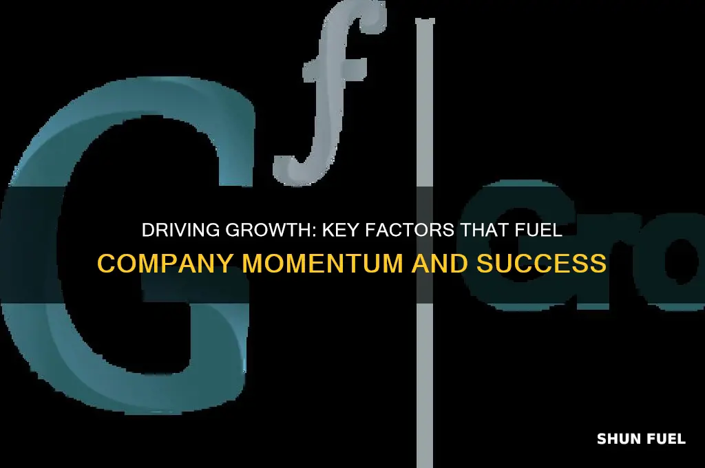 what fuels company momentum