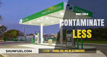 Cleaner Energy Choices: Which Fuels Minimize Environmental Contamination?