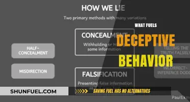 Unveiling the Hidden Motives Behind Deceptive Behavior and Lies